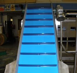 flighted incline conveyor